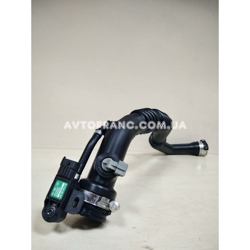 ASUです ミズノ 安全靴 オールマイティ TDII 51L BOA NISMO ニスモ 2024