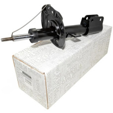 Амортизатор передній Renault Kardian (2025-...) Оригінал 543024593R