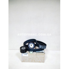 Комплект ГРМ 2.0 16V Renault Duster (2010-2017) Оригінал 130C13130R
